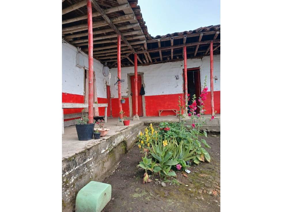 VENTA FINCA EN AGUADAS, CALDAS, VEREDA LA MERMITA - 2