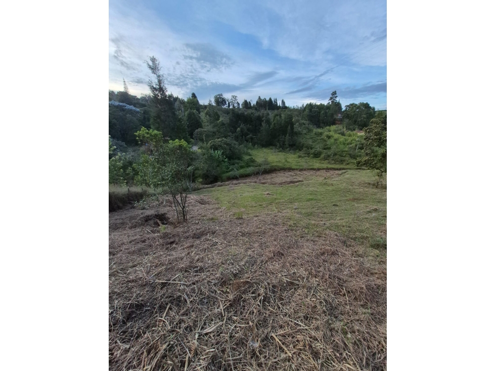 VENDO LOTES EN GUARNE VEREDA HOJAS ANCHAS — foto 5