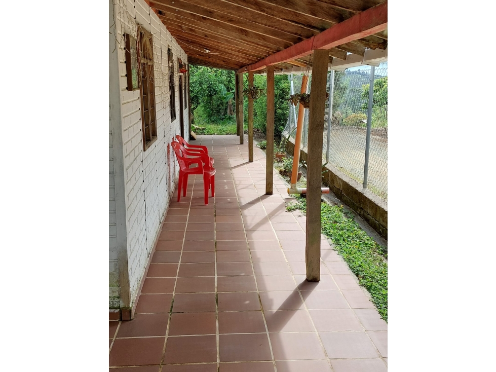 VENTA DE FINCA EN FREDONIA - VEREDA LA QUIEBRA - 3