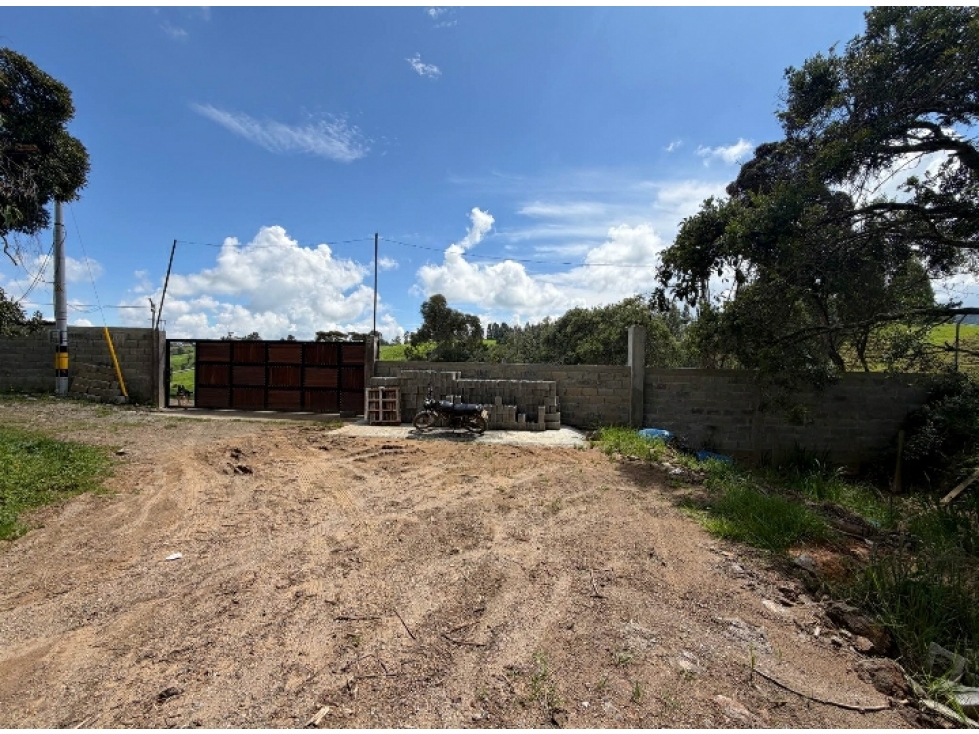 VENTA DE LOTE FINCA EN SAN PEDRO DE LOS MILAGROS - ANTIOQUIA (Ovejas) — foto 6