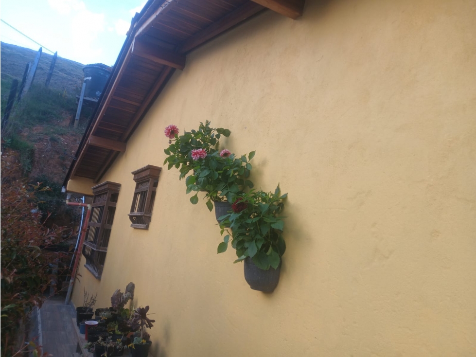 VENTA DE CASA FINCA EN SANTA ELENA VEREDA LA FELIPA — foto 3