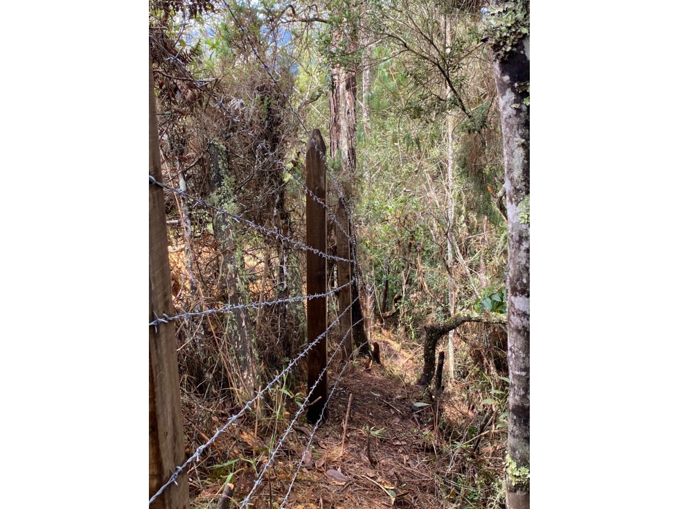 VENTA DE LOTE EN GUARNE SECTOR VEREDA PIEDRAS BLANCAS — foto 4