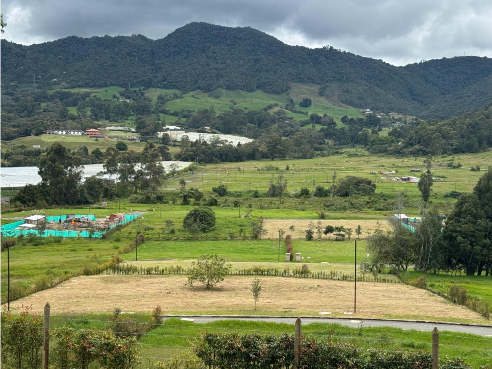 Vendo lote de 1600m2 en La Ceja, Antioquia