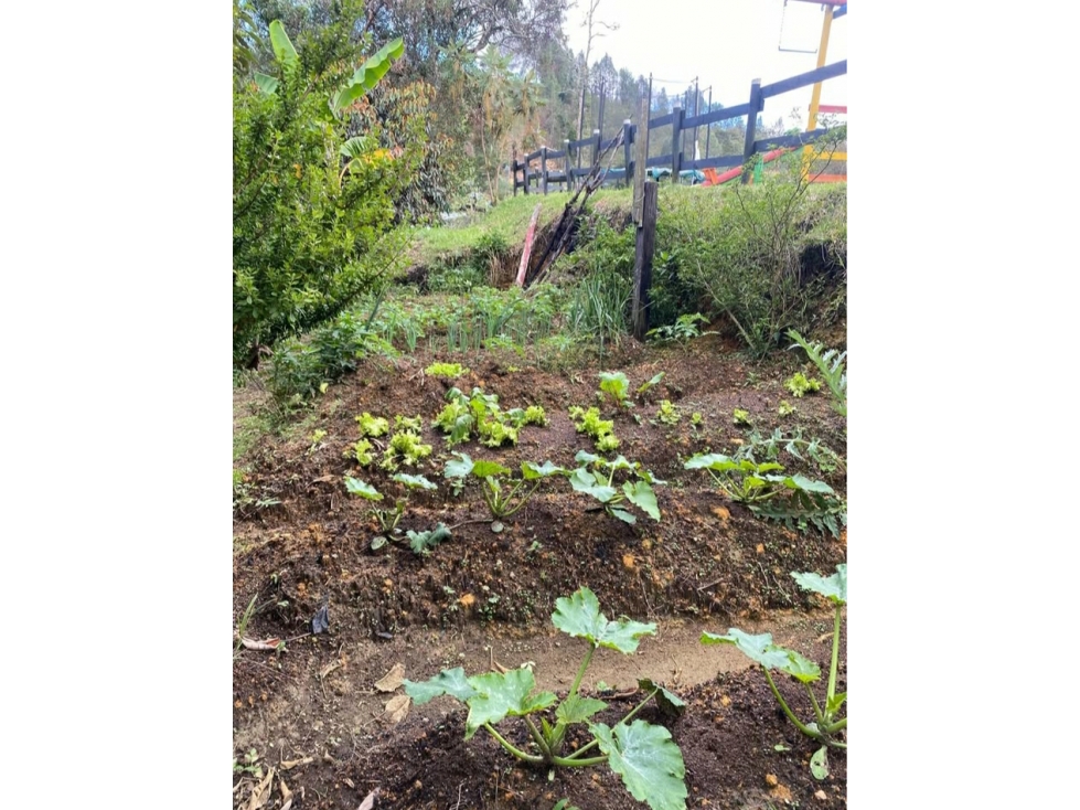 LOTE EN VENTA EN GUARNE - VEREDA SANGO — foto 6