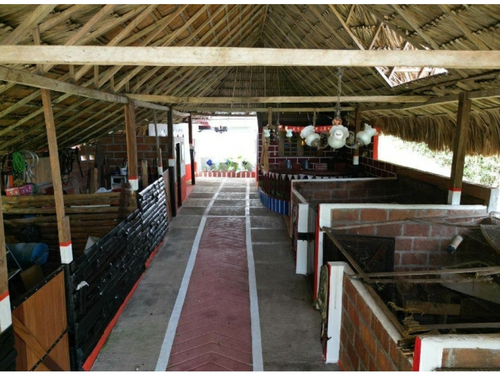FINCA CON PESEBRERA EN LOTE DE 2.400m2 EN VENTA EN COPACABANA — foto 6
