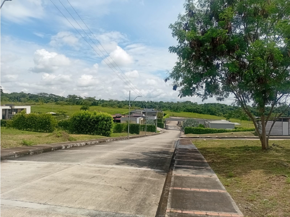 VENTA LOTE EL TOTUMO IBAGUE — foto 6
