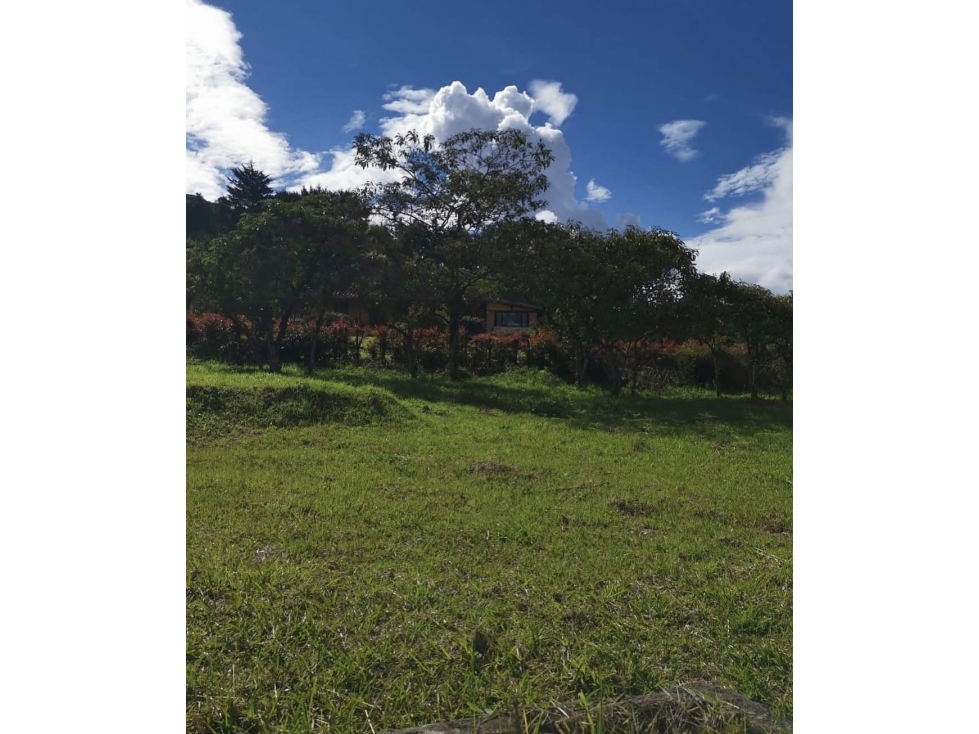 VENTA DE LOTE 3.660 M2 EN PARCELACIÓN EN SAJONIA RIONEGRO - 6
