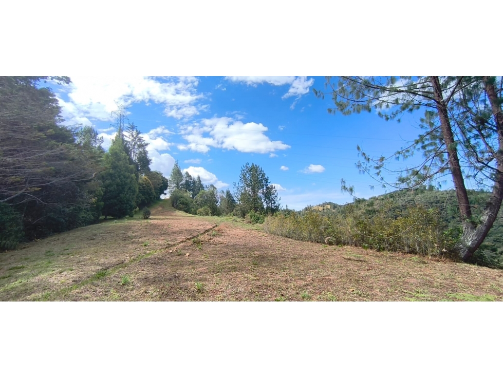 VENTA DE LOTE 11.646 M2 EN PARCELACION DE LA FE_EL RETIRO - 2