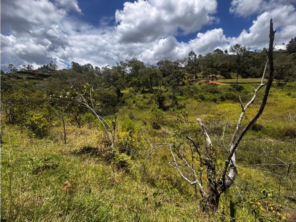 Lote en Venta Vereda Mampuesto / Sector Lomalinda Rionegro — foto 6