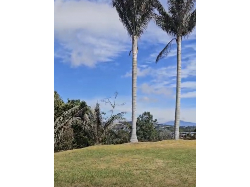 LOTE PLANO EN EL ALTO DE PALMAS ANTES DEL PEAJE