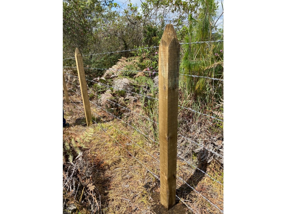 VENTA DE LOTE EN GUARNE SECTOR VEREDA PIEDRAS BLANCAS — foto 5