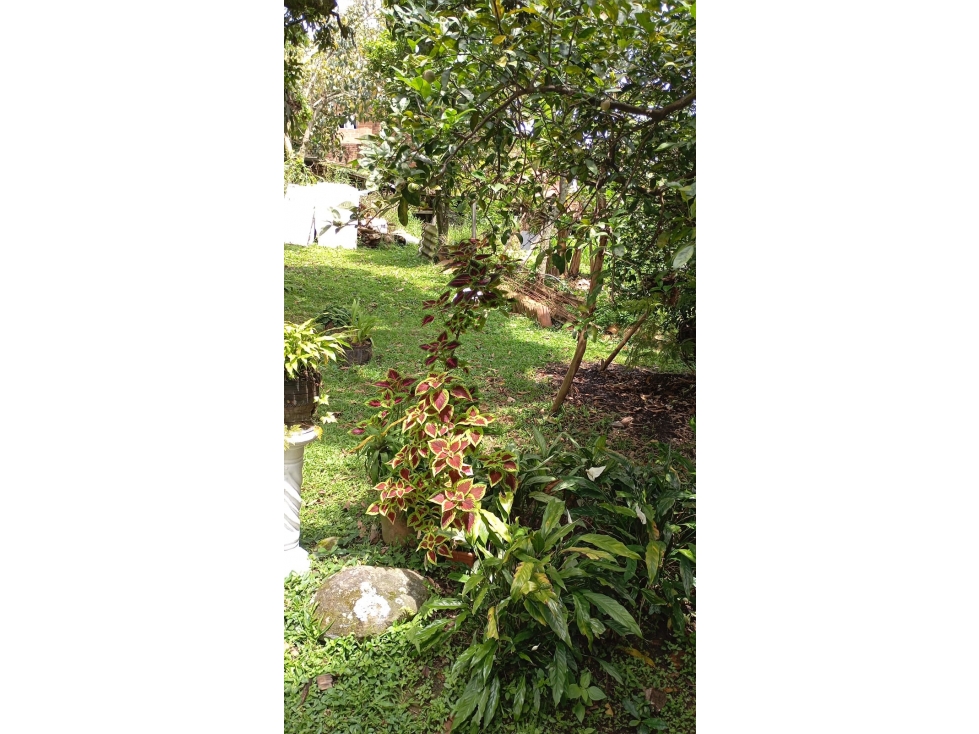 VENTA DE LOTE EN ENVIGADO SECTOR SAN JOSÉ — foto 2