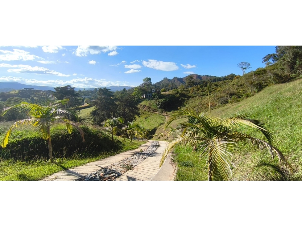 VENTA ó PERMUTA LOTE INDEPENDIENTE 7.000 M2 PANTANILLO (con colega) — foto 3