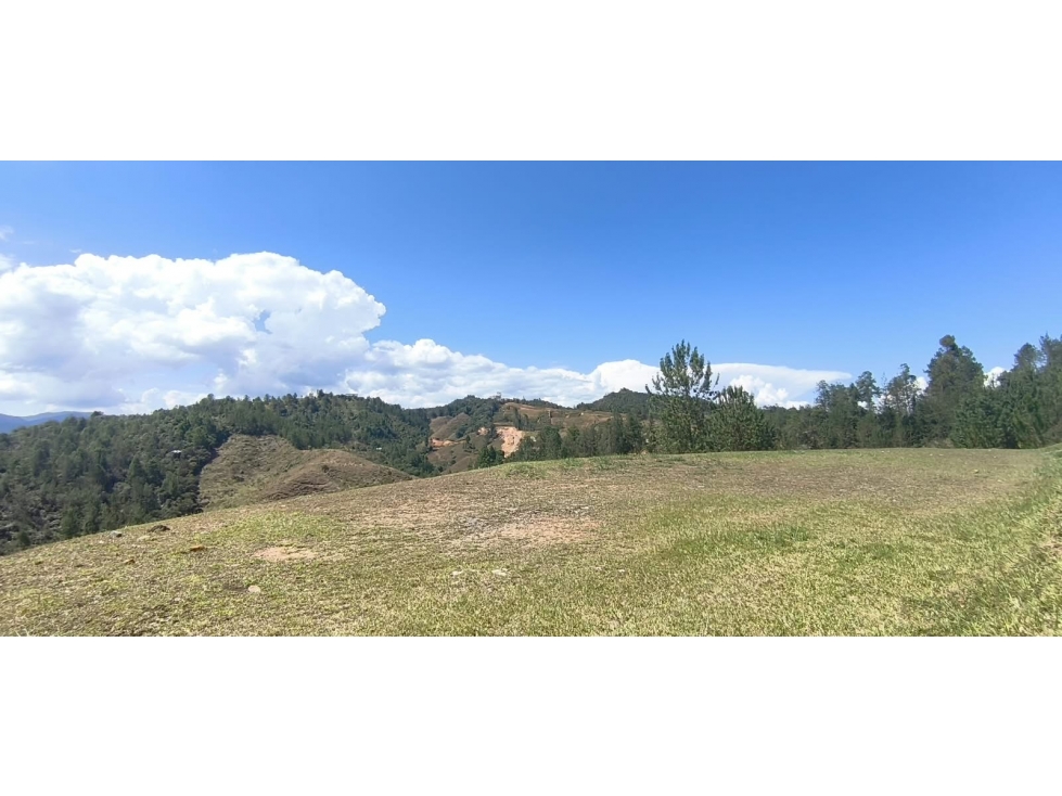 VENTA DE LOTE CON LAS MEJORES VISTAS_LEJOS DEL NIDO — foto 3