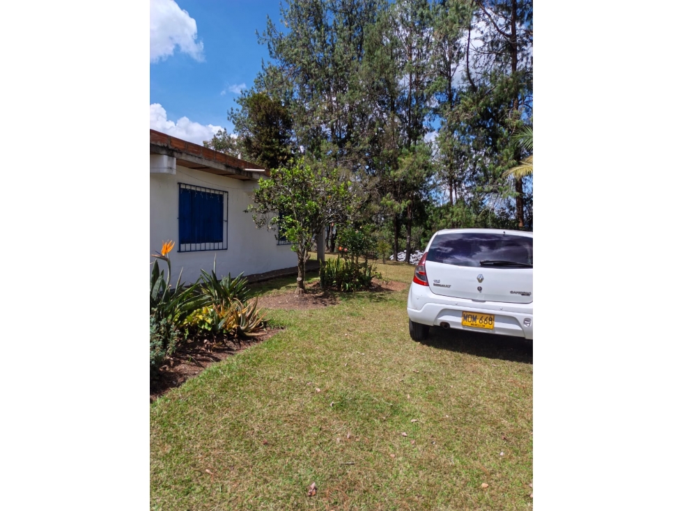 VENTA HERMOSA FINCA EN GUARNE - 3