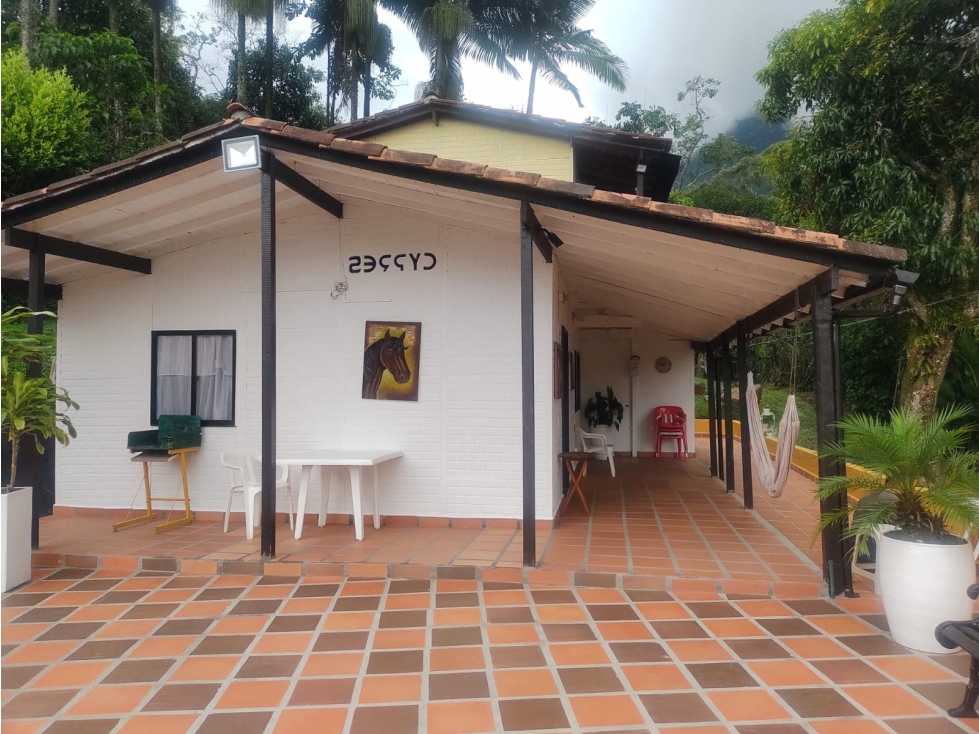 VENTA DE CASA FINCA EN FREDONIA - ANTIOQUIA - 2
