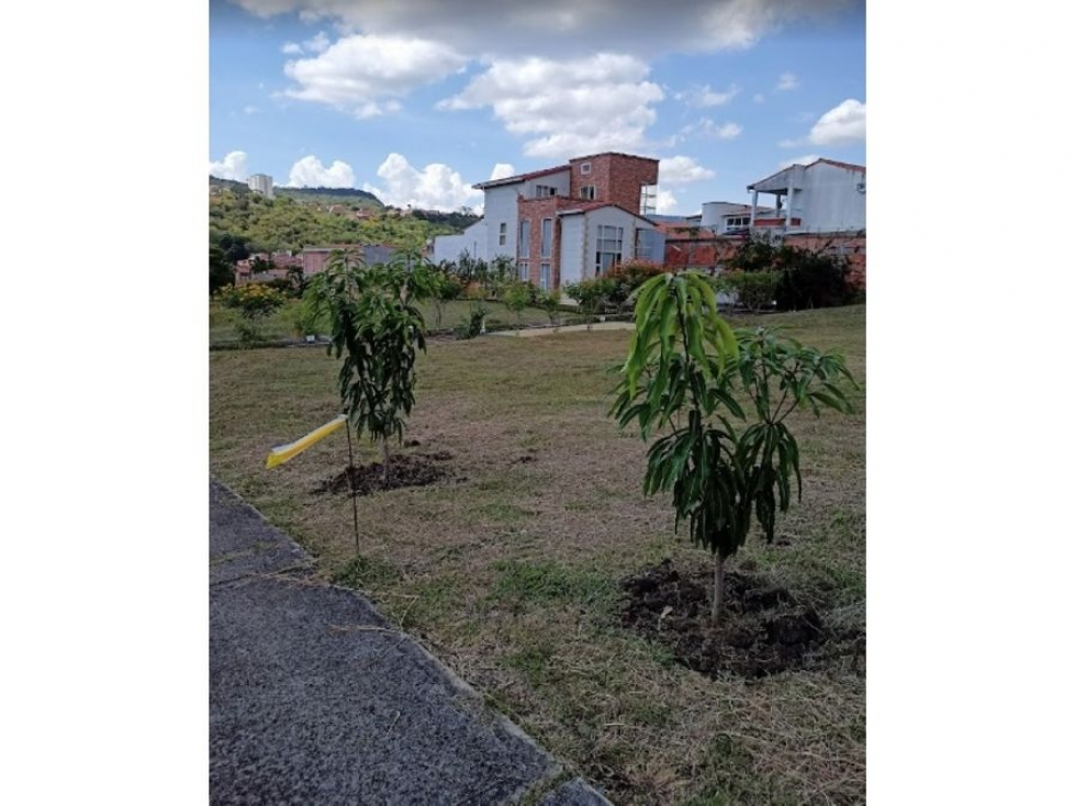 VENTA DE LOTE CAMPESTRE EN SAN GIL, SANTANDER - 4
