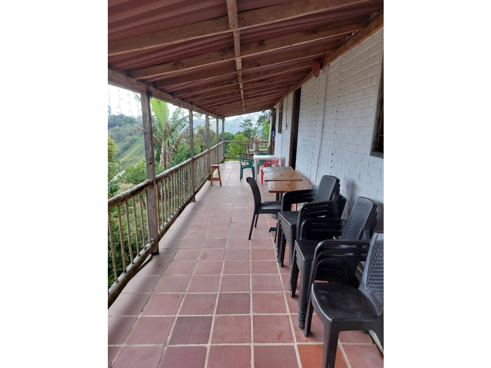 VENTA DE FINCA EN FREDONIA - VEREDA LA QUIEBRA - 1