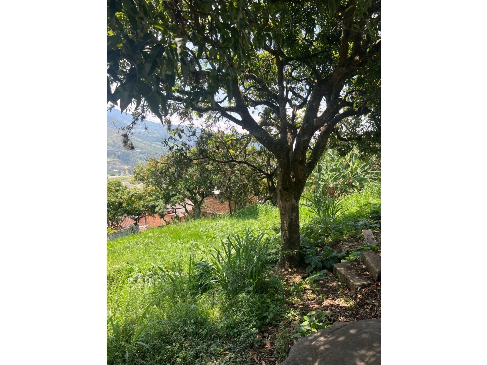 VENTA DE LOTE EN BELLO VEREDA GUASIMALITO NORTE AMÉRICA — foto 3