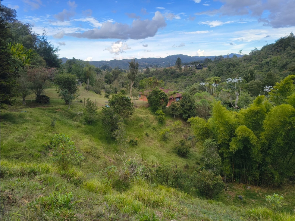 VENTA FINCA DE 27.500 M2 EN PARCELACIÓN PUENTE PELAEZ EL RETIRO - 1