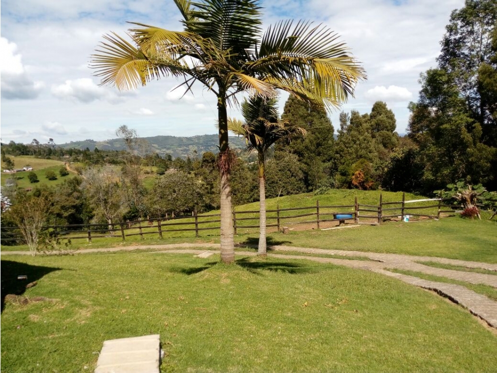 VENTA DE FINCA EN GUARNE SECTOR VEREDA PIEDRAS BLANCAS — foto 4