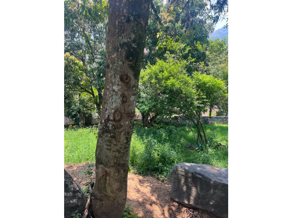 VENTA DE LOTE EN BELLO VEREDA GUASIMALITO NORTE AMÉRICA — foto 6