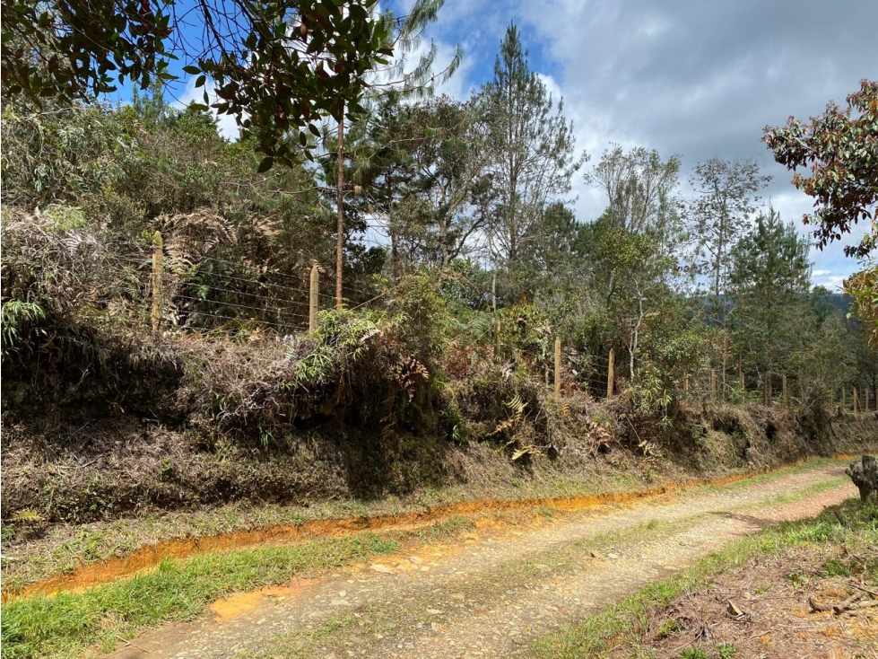 VENTA DE LOTE EN GUARNE SECTOR VEREDA PIEDRAS BLANCAS