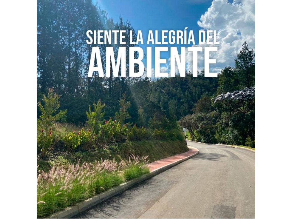 VENTA DE MAGNÍFICO LOTE_LEJOS DEL NIDO - 5