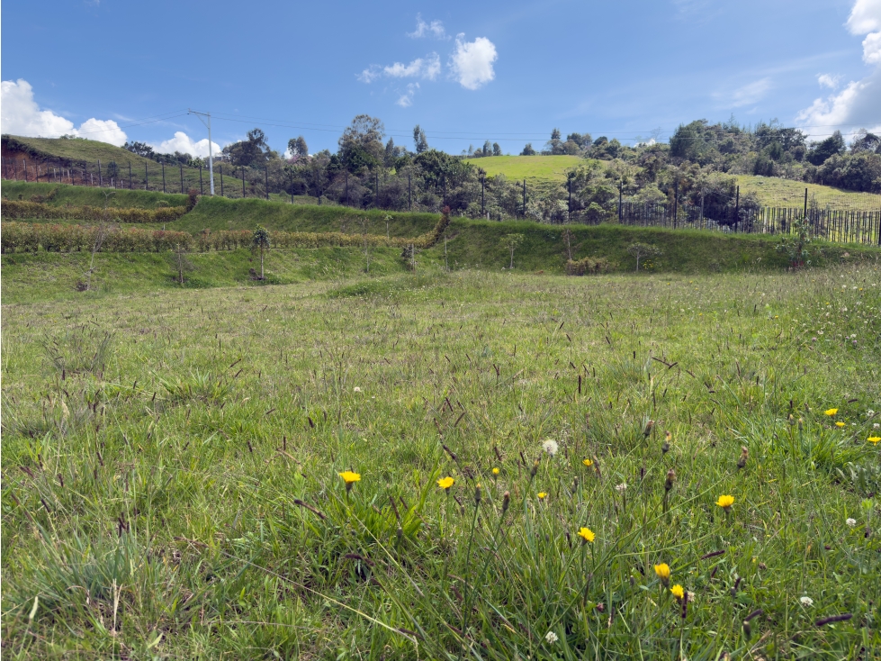 Venta lote en alto de Palmas — foto 2