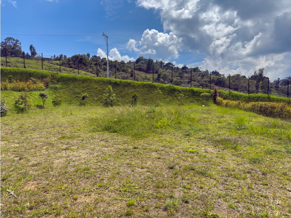 Venta lote en alto de Palmas — foto 4