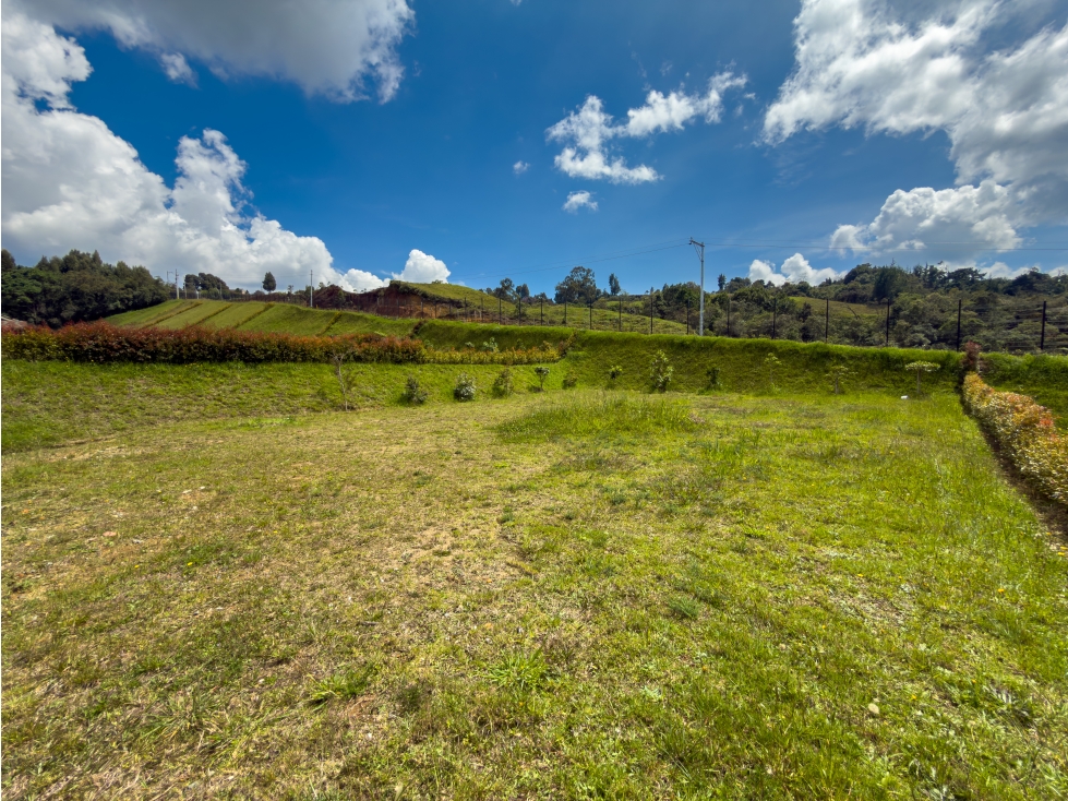 Venta lote en alto de Palmas — foto 5