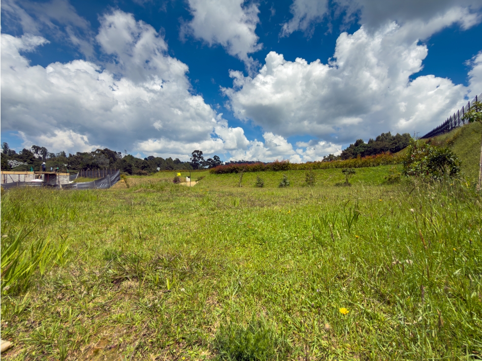 Venta lote en alto de Palmas — foto 6