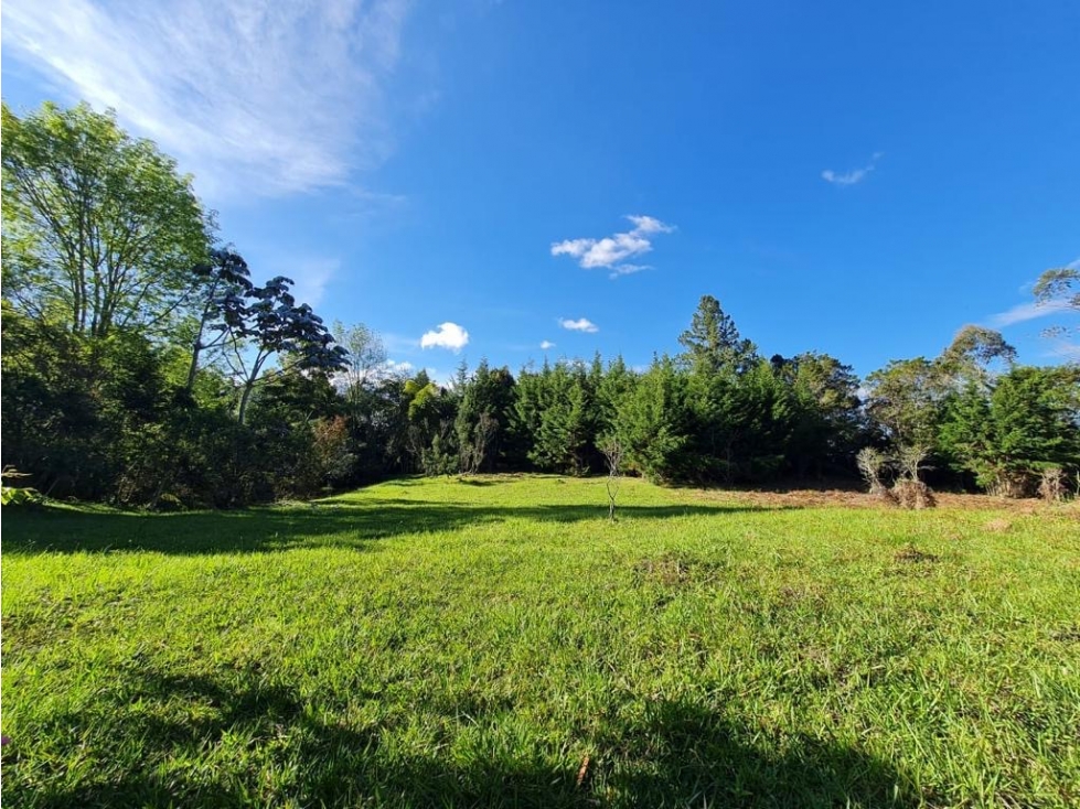 Hermoso Lote Sajonia