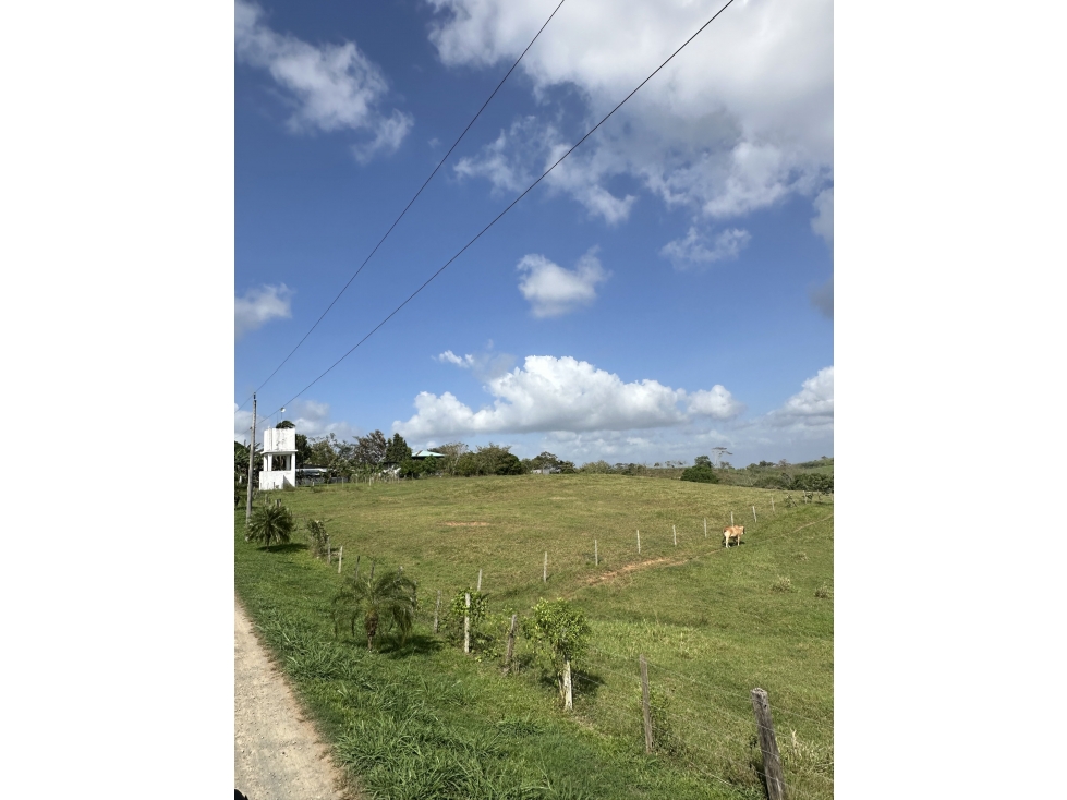 Lote en venta - Hacienda Santa Domenica, La Chorrera, 7,250 m² — foto 2