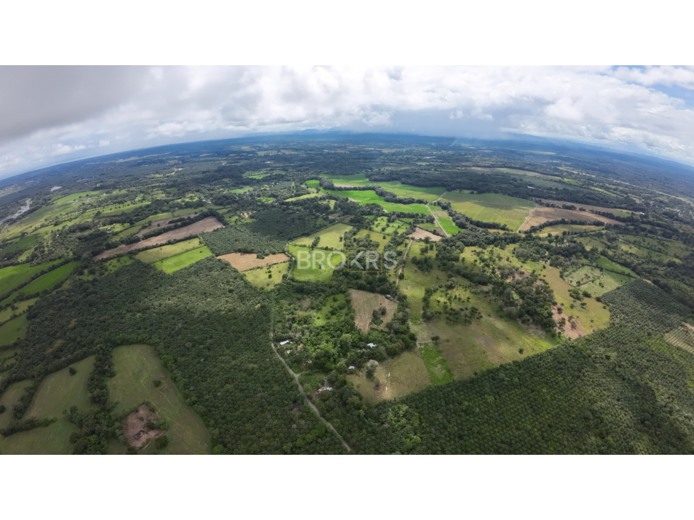 Finca de palmas aceiteras en venta - Aserrío de Gariché, Chiriquí - 1