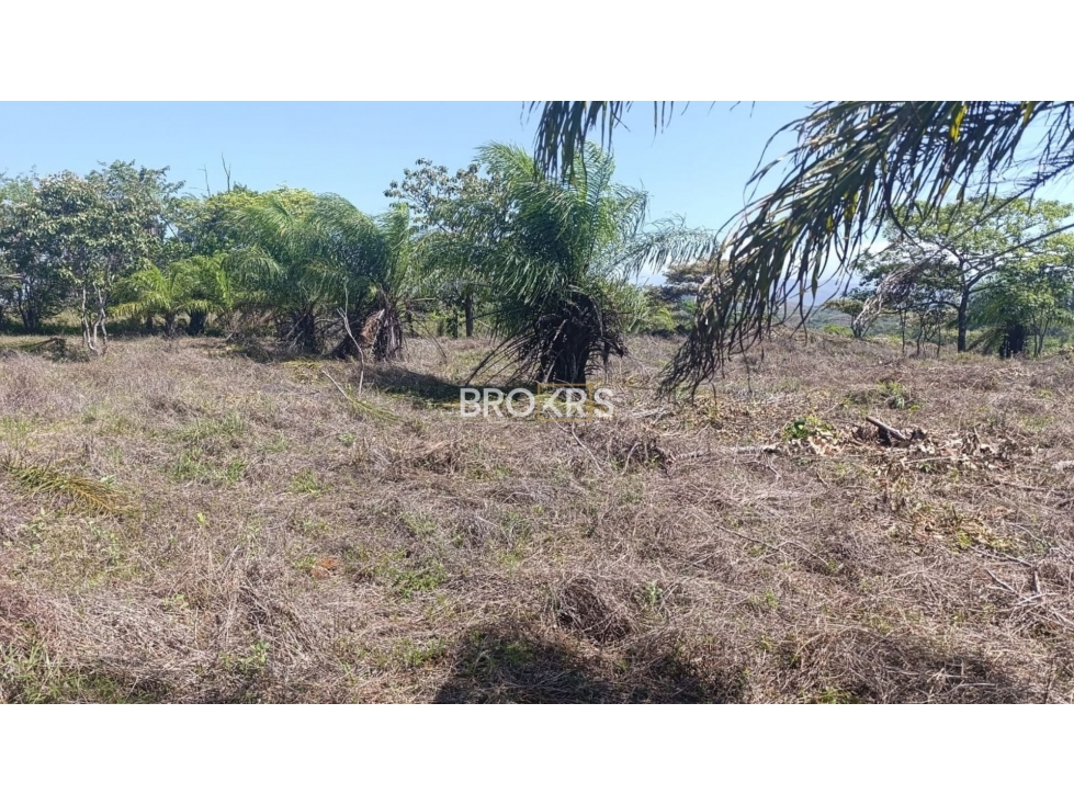 Terreno en Venta en Los Solices - La Mesa, Veraguas - 3