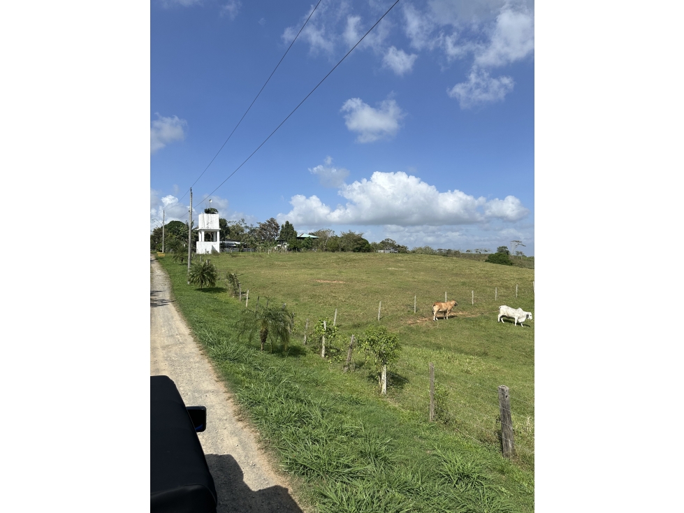 Lote en venta - Hacienda Santa Domenica, La Chorrera, 7,250 m²