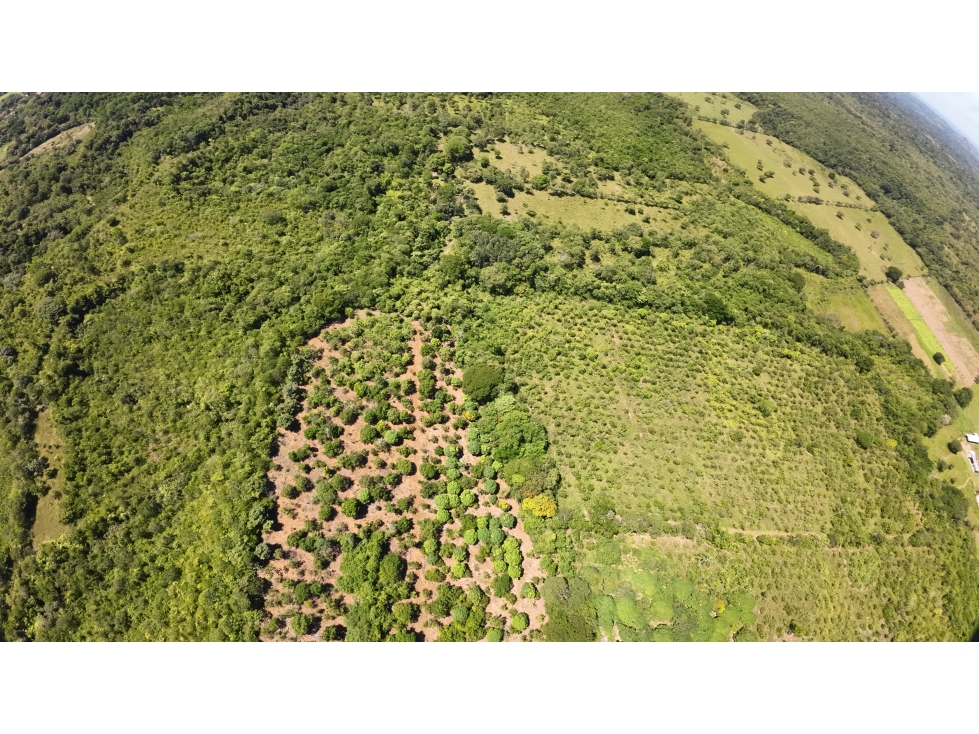 FINCA POTRERILLOS - 2
