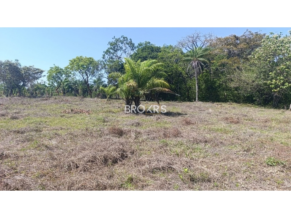 Terreno en Venta en Los Solices - La Mesa, Veraguas - 4