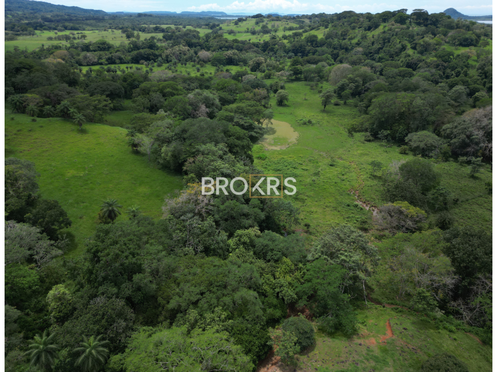 Finca en Venta - Tolé, Chiriquí - 2