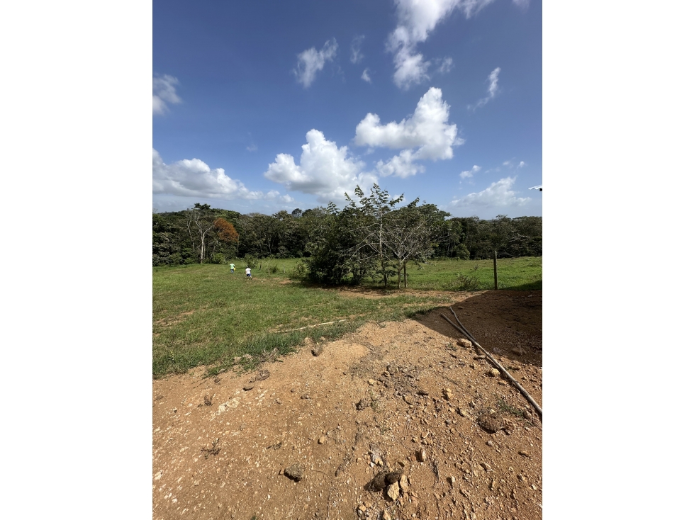 Lote en venta - Hacienda Santa Domenica, La Chorrera, 6,592 m² — foto 2