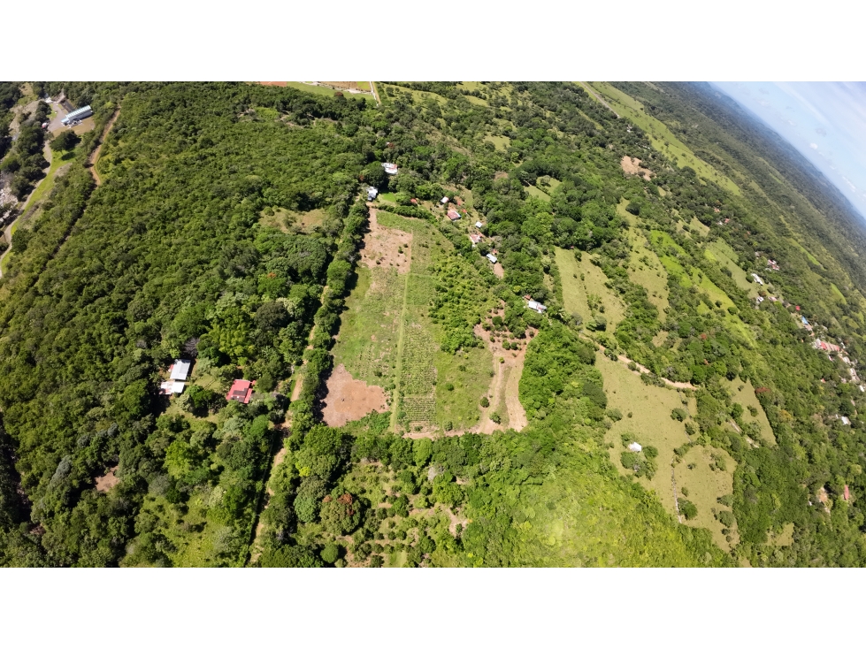 FINCA 22 HECTAREAS - 3