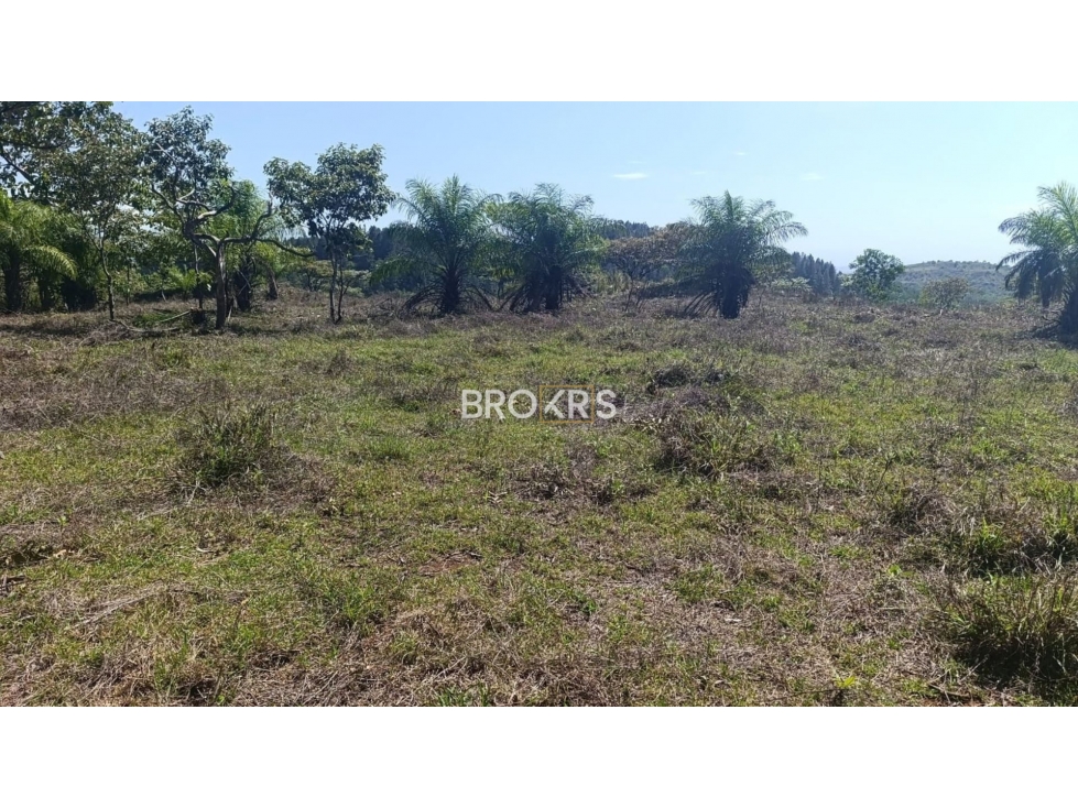 Terreno en Venta en Los Solices - La Mesa, Veraguas - 2