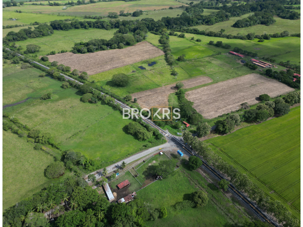 Finca Ganadera en Venta - Canta Gallo, Alanje - 3