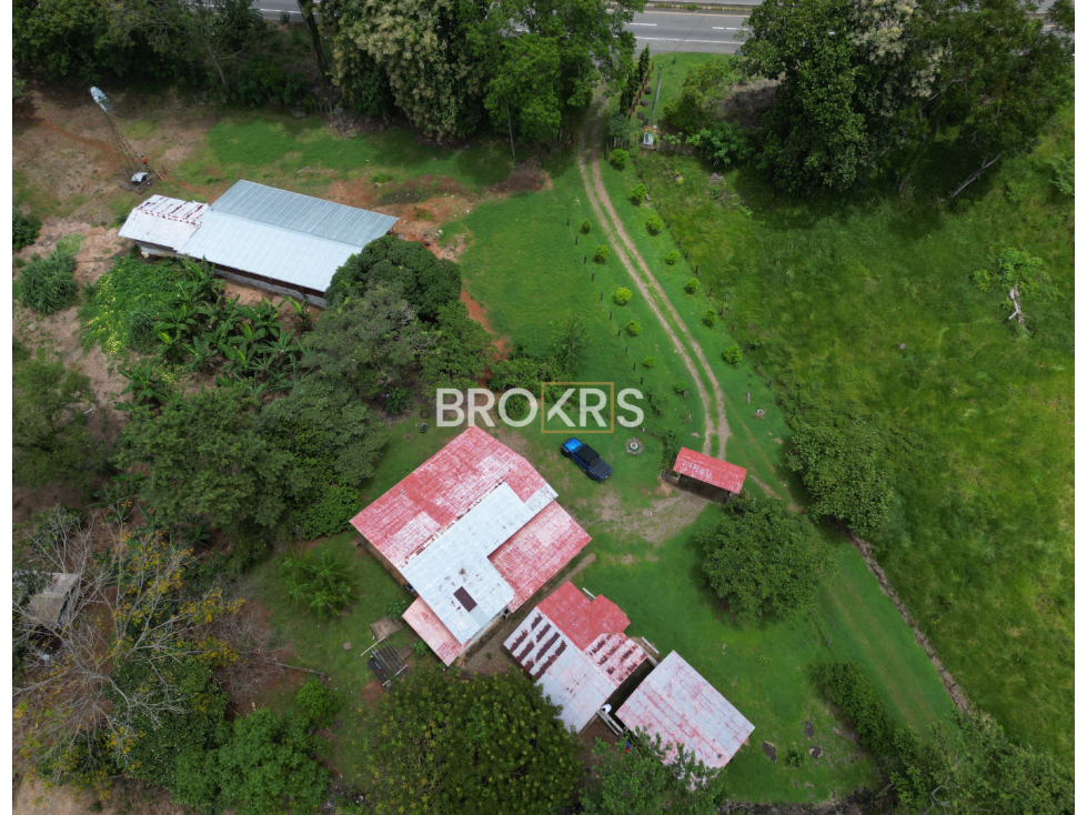 Finca en Venta - Tolé, Chiriquí - 3