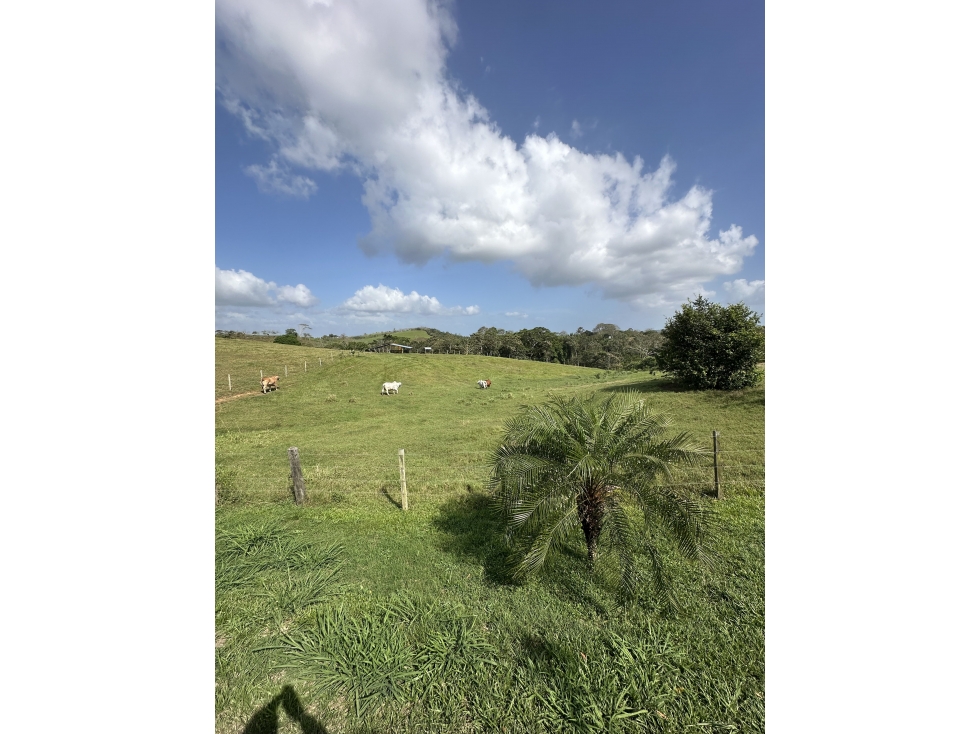 Lote en venta - Hacienda Santa Domenica, La Chorrera, 7,250 m² — foto 3