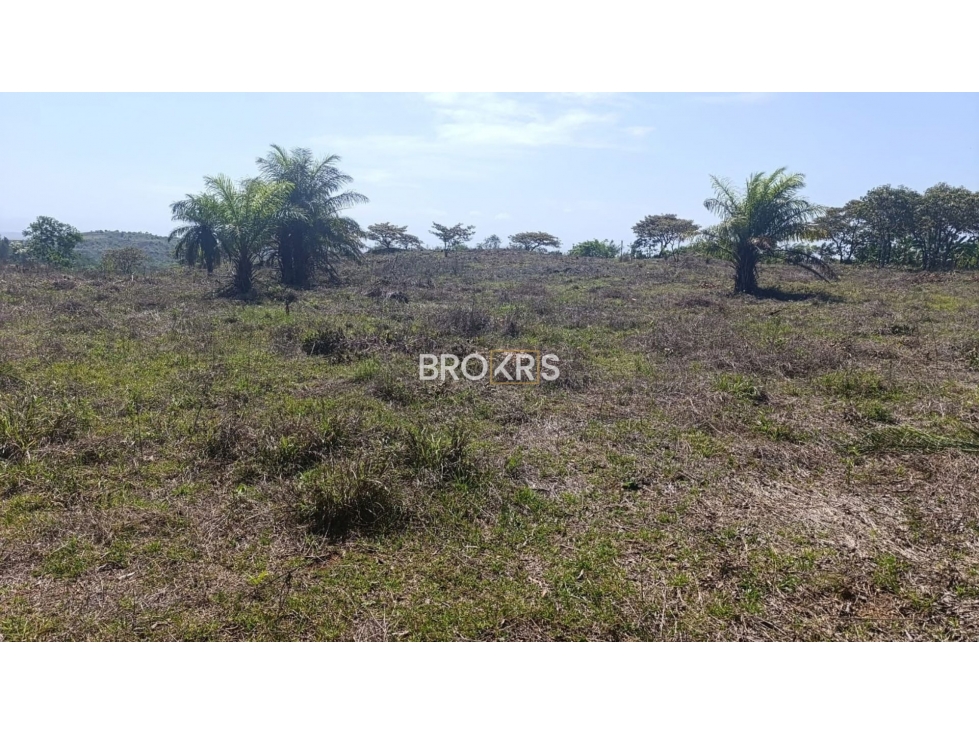 Terreno en Venta en Los Solices - La Mesa, Veraguas - 1
