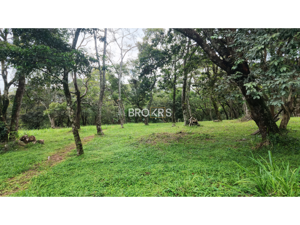 Lotes en Venta - Volcancito, Boquete - 4