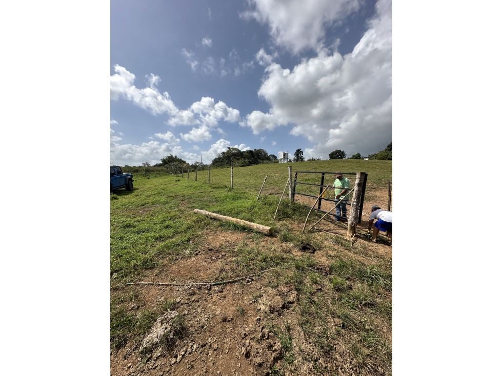 Lote en venta - Hacienda Santa Domenica, La Chorrera, 6,592 m² — foto 3