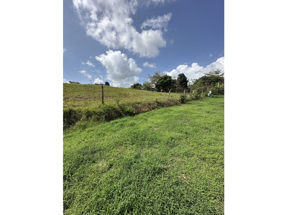 Lote en venta - Hacienda Santa Domenica, La Chorrera, 7,250 m² — foto 4
